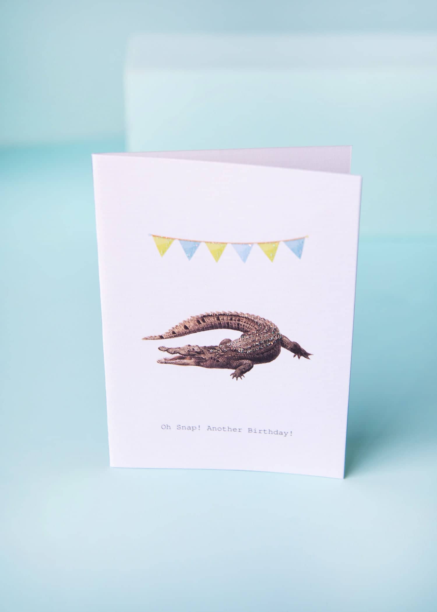  Oh Snap Greeting Card 