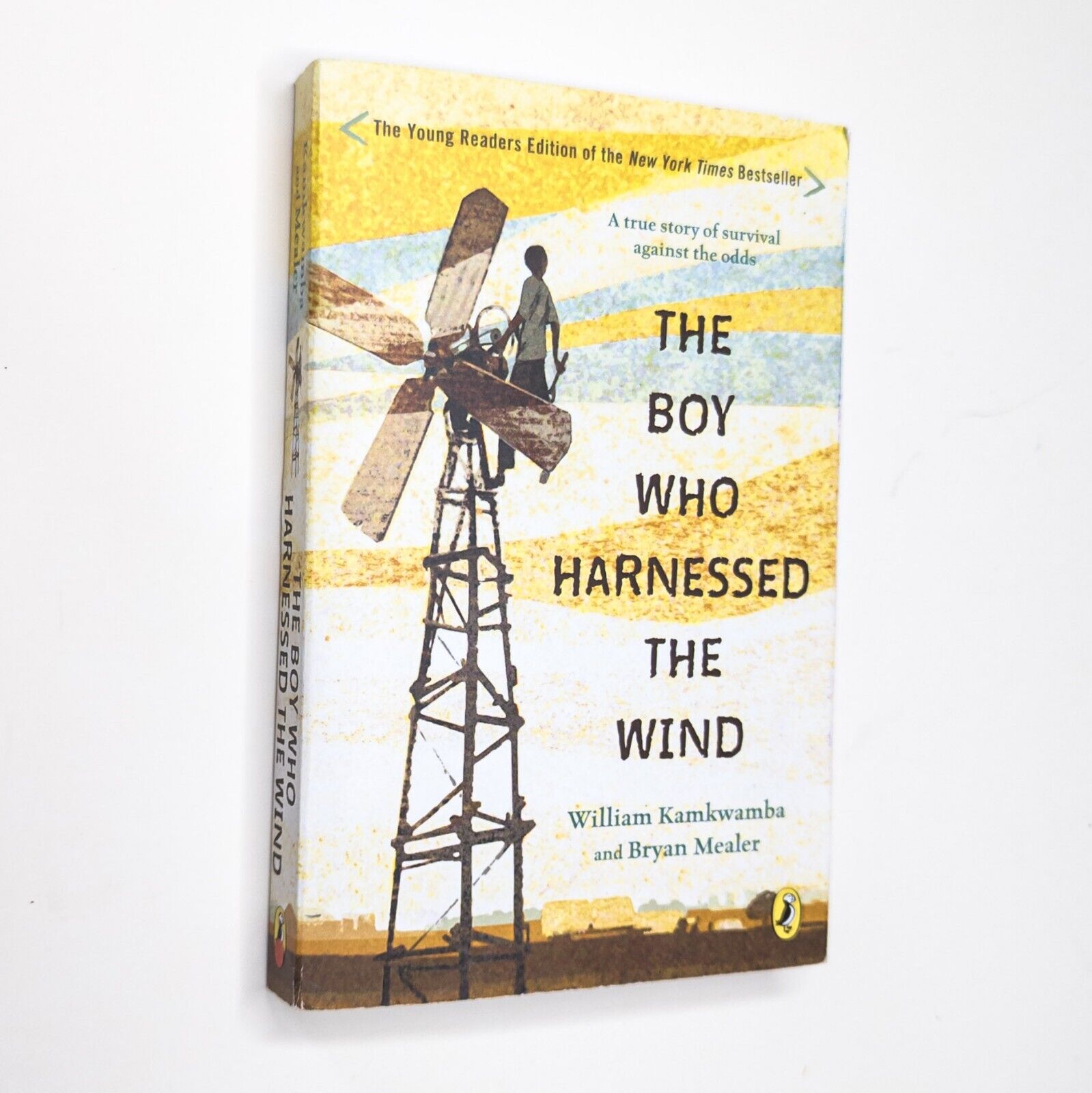 The Boy Who Harnessed the Wind : Young Readers Edition by William Kamkwamba Book