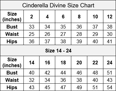 Cinderella Divine CDS413 Dress