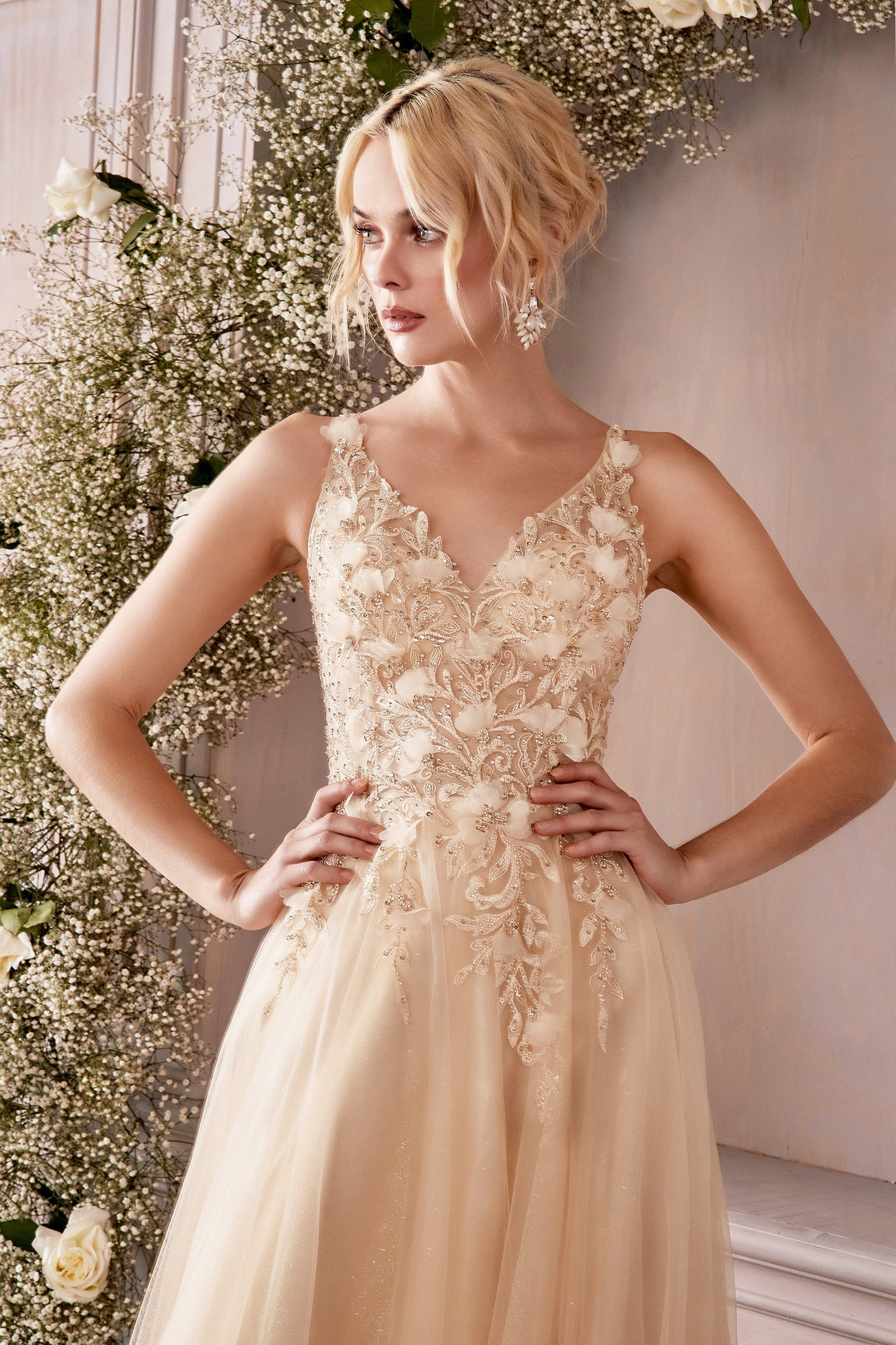 Cinderella Divine CD0181 Dress