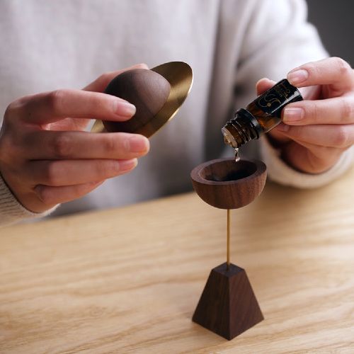Asteroids Wooden Incense Diffuser