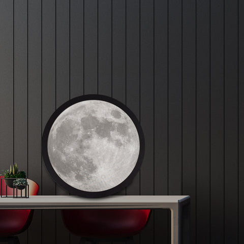 Moon Mirror