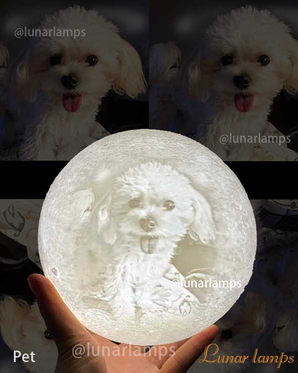 photo moon lamp For your Pets
