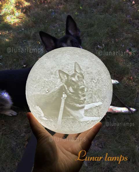 dog photo moon lamp