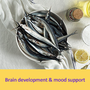 Brain development & mood support