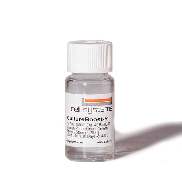 細胞系統原代人主動脈內皮細胞 (ACBRI 375)