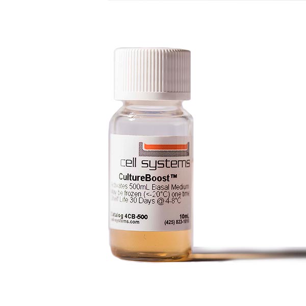 細胞系統原代人主動脈內皮細胞 (ACBRI 375)
