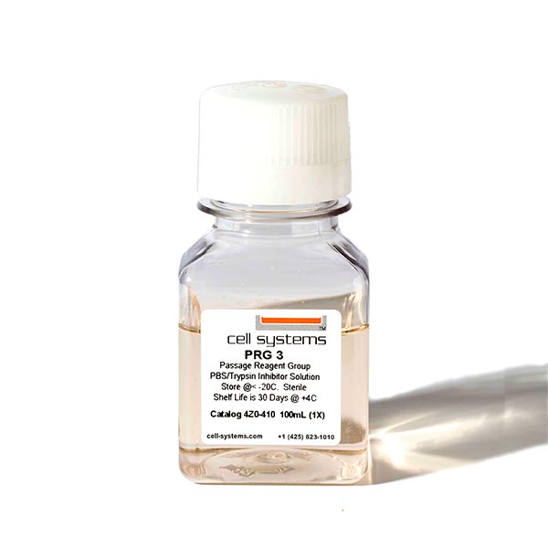 細胞系統原代人主動脈內皮細胞 (ACBRI 375)