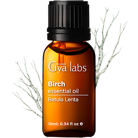 Birch Oil