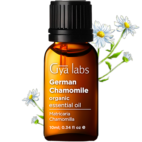 Organic German Chamomile Oil