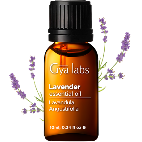 Lavender Oil