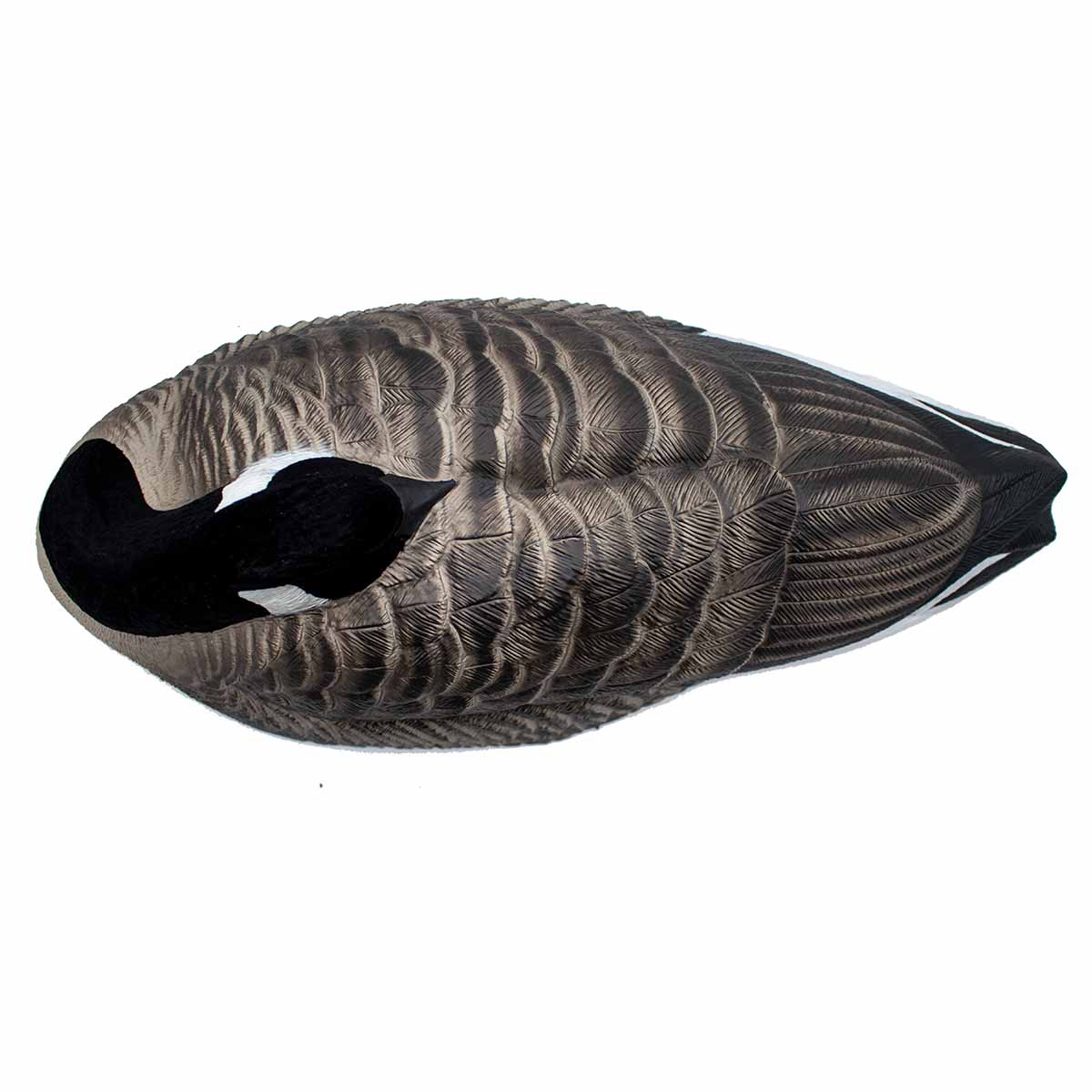 Last Pass Honker Sleeper Shells - 12 Pack