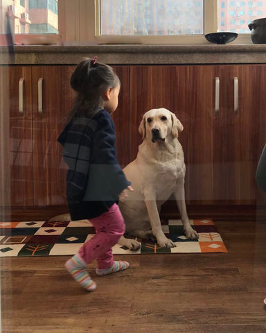 CHAI TIAN Community Projects