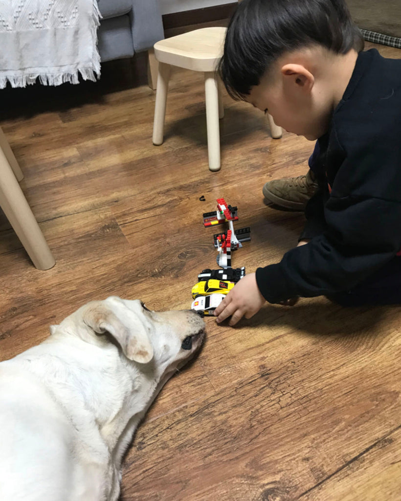 チャイティアンコミュニティプロジェクト