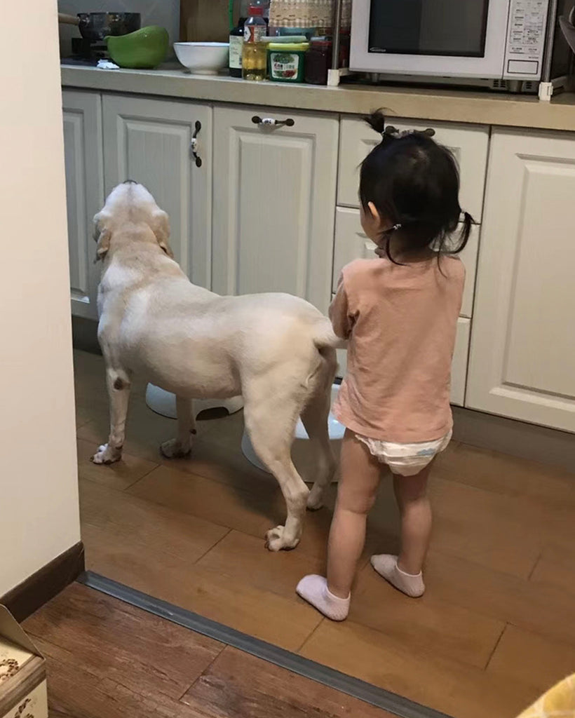 チャイティアンコミュニティプロジェクト