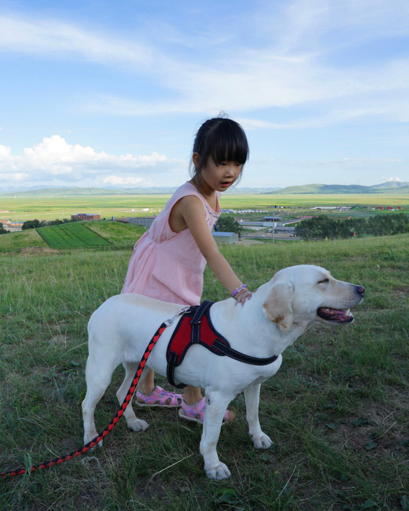 チャイティアンコミュニティプロジェクト