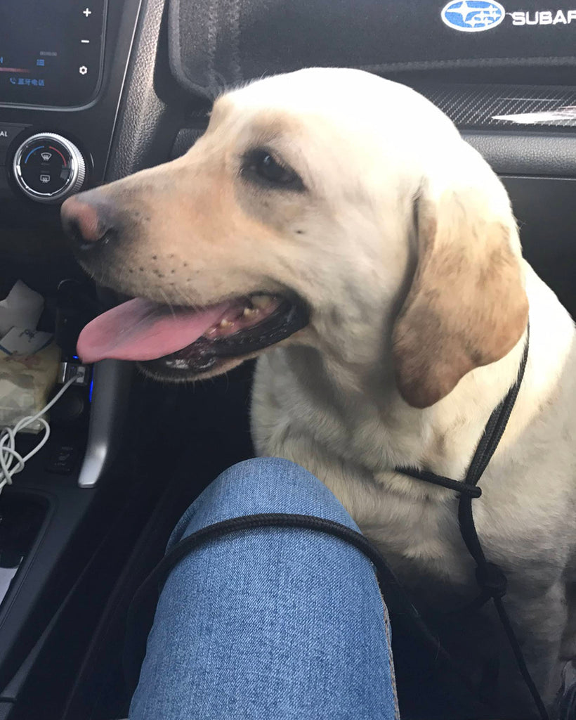 CHAI TIAN コミュニティ プロジェクト - TACTICAL GEEK