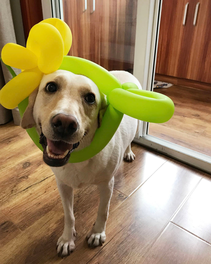 チャイティアンコミュニティプロジェクト