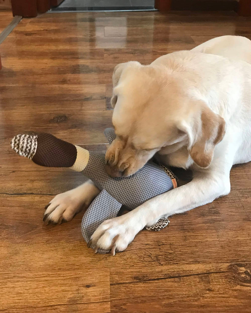 CHAI TIAN コミュニティ プロジェクト - TACTICAL GEEK