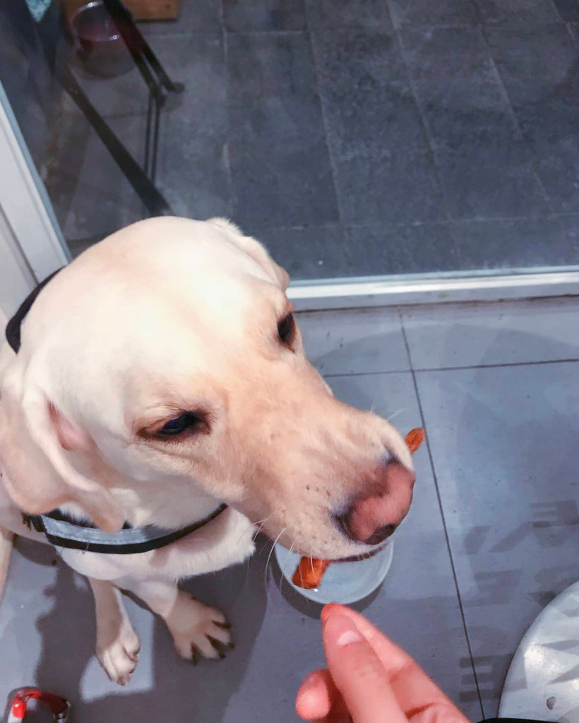 CHAI TIAN コミュニティ プロジェクト - TACTICAL GEEK