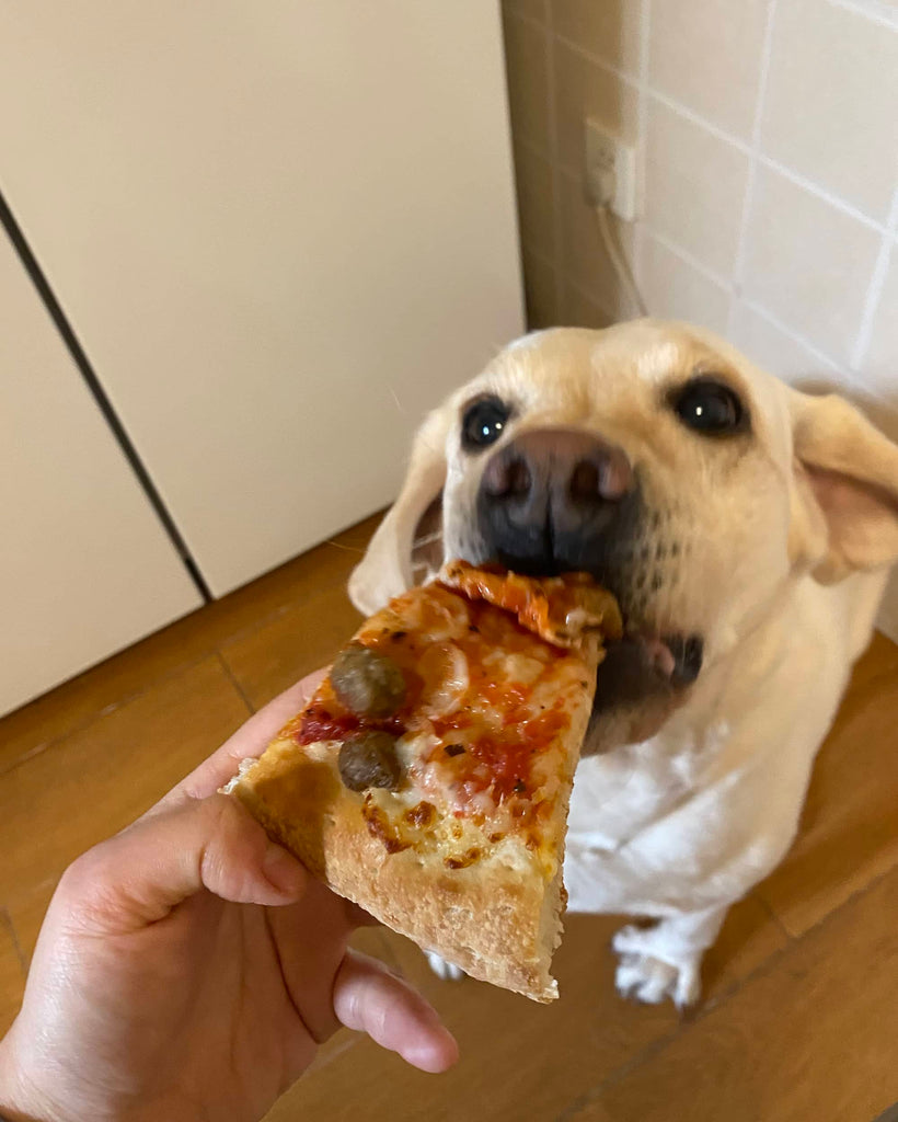 CHAI TIAN コミュニティ プロジェクト - TACTICAL GEEK