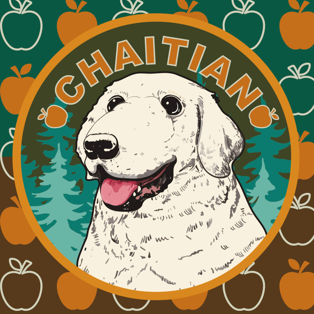 チャイティアンコミュニティプロジェクト