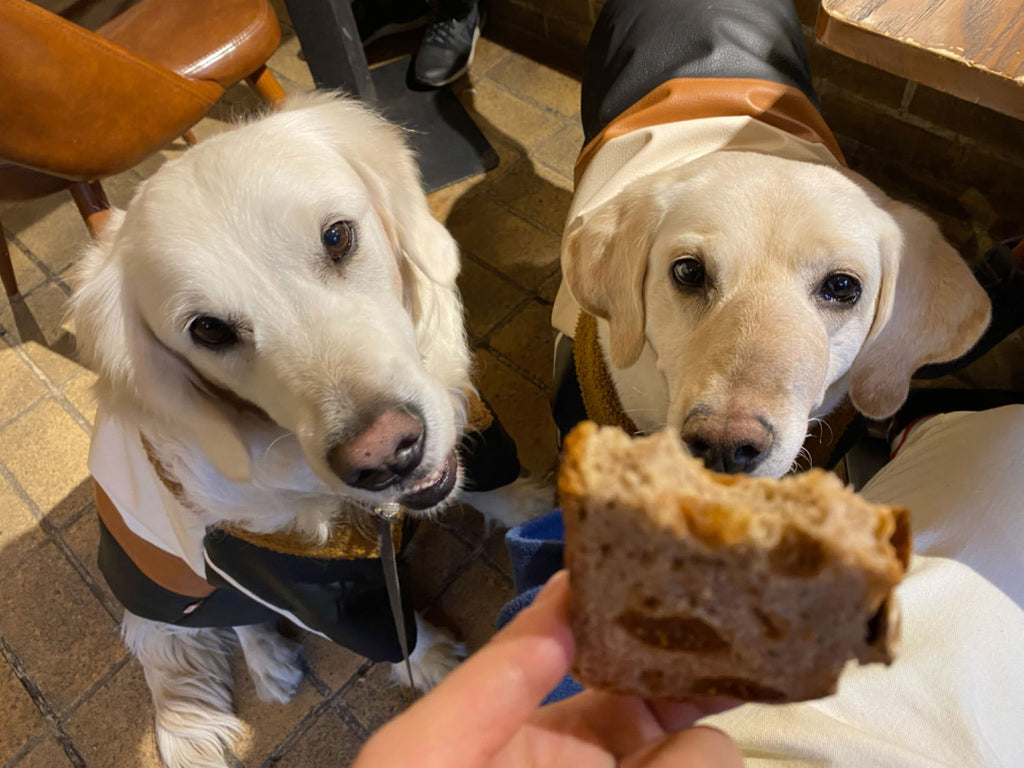 チャイティアンコミュニティプロジェクト
