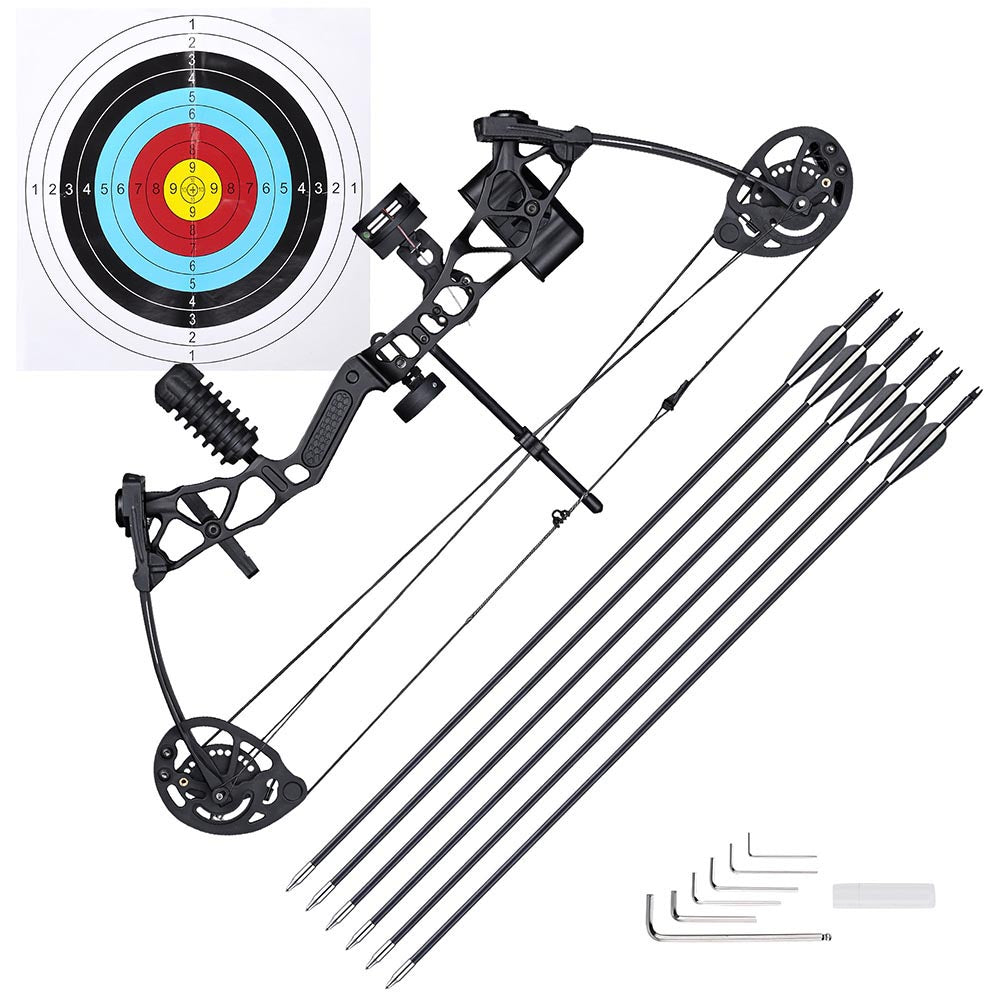  TheLAShop Youth Compound Bow and Arrows(6) Archery Set 