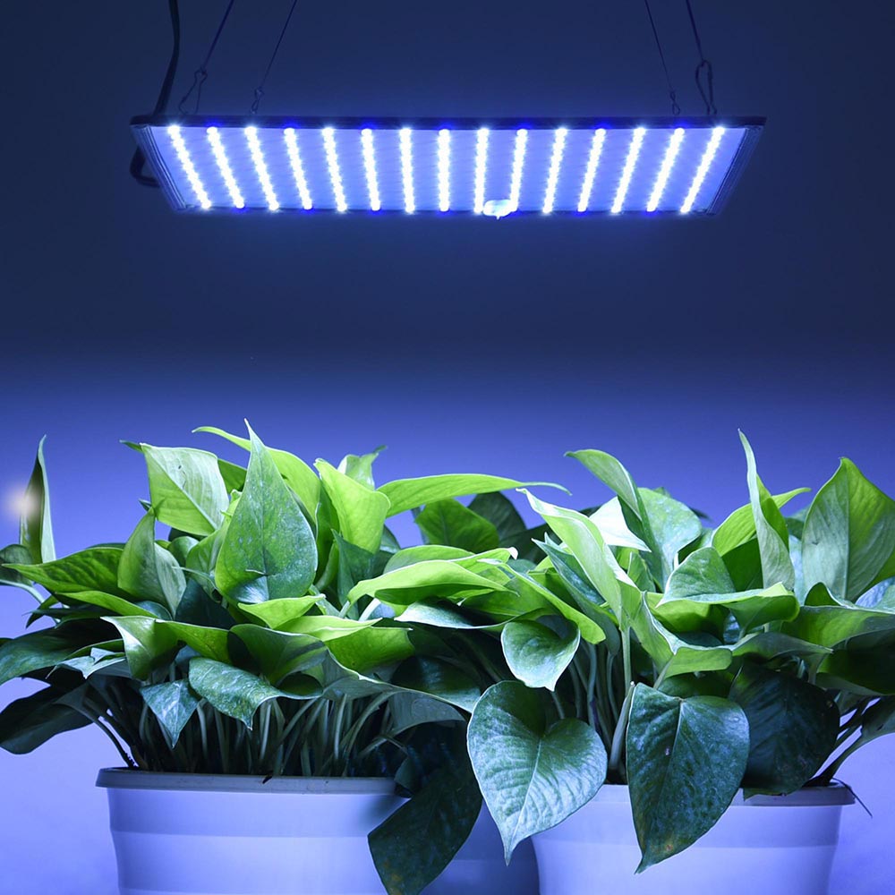  TheLAShop 225 Ultrathin Blue White LED Plant Grow Light Panel 