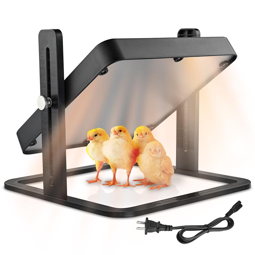  TheLAShop Chick Heating Plate Adjustable Height & Angle 