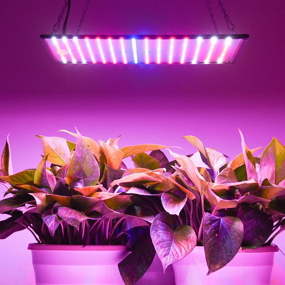  TheLAShop 225 Ultrathin Blue Red Orange White LED Plant Grow Light Panel 