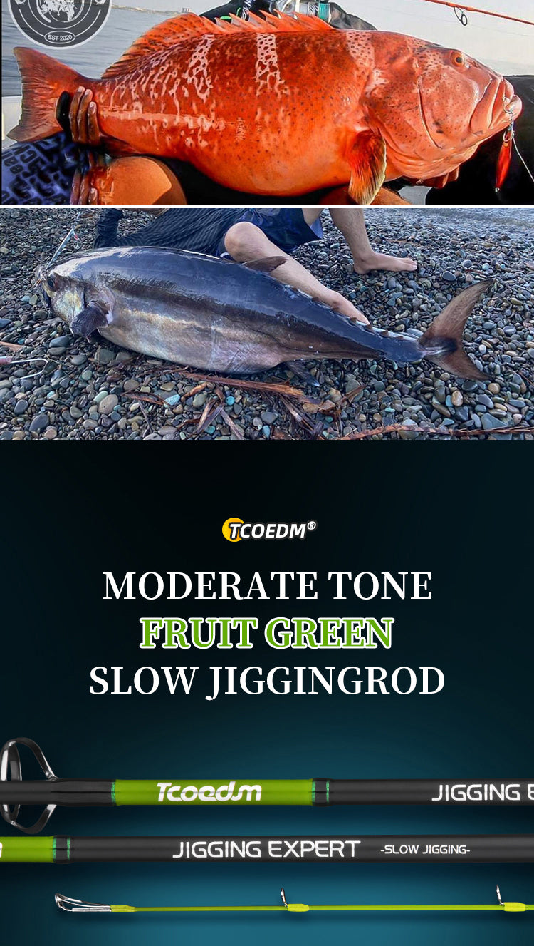 best deep sea black blue fast one 2 piece acid wrapped micro offshore japanese crappie walleye heavy speed casting spiral vertical wrapping tuna swim bottom saltwater ugly stik bass ocea master jigger world penn micro shore spinning jig pole game walleye light fishing goofish trevala grappler slow pitch jigging rod and reel combo for sale