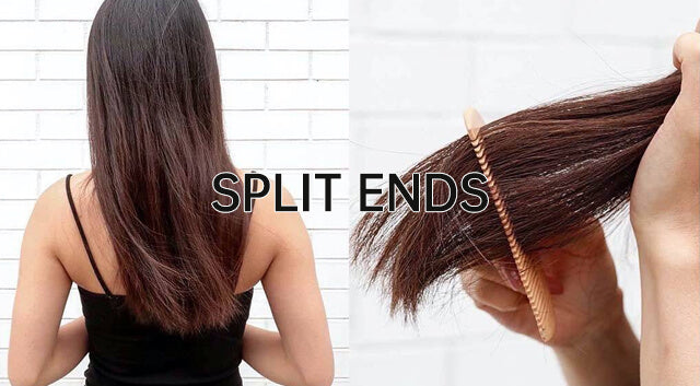 Erfahren Sie mehr über Ihr Haar