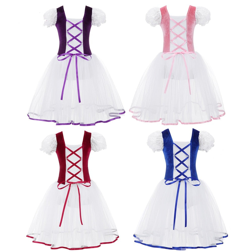 Girls  Ballet Tutu Dress Velvet Body Mesh Skirt Dance Gymnastics Leotard Costume