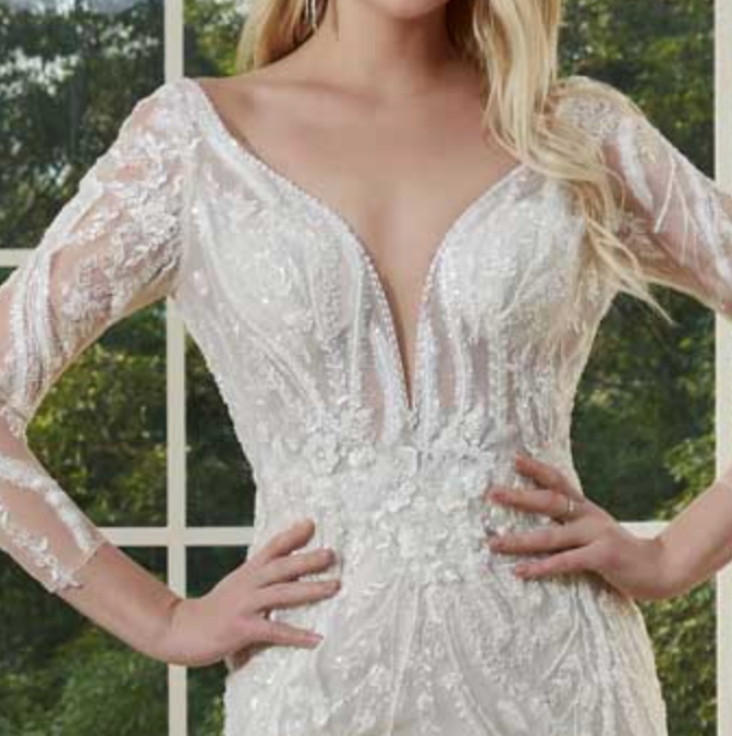 Illusion Lace Sleeve Mermaid Wedding Dress