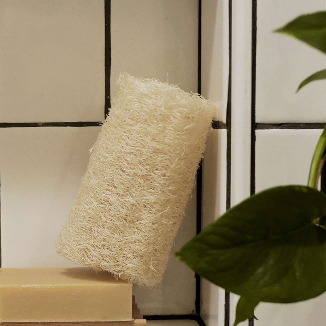 Loofah Sponge