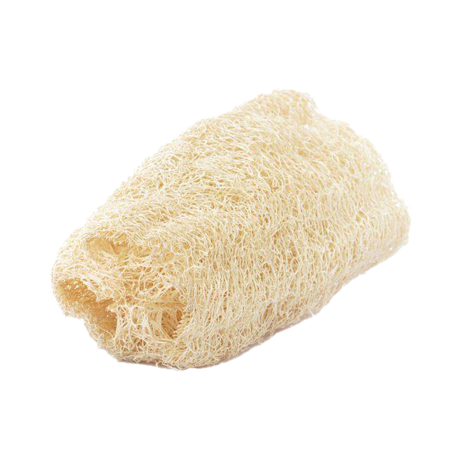 Loofah Sponge