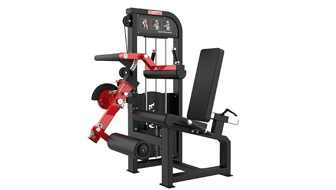 SFE Selectorized Leg Extension & Leg Curl Machine