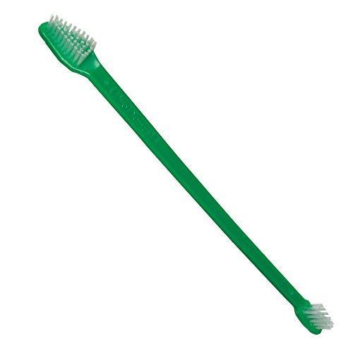 Pro Dental Toothbrush