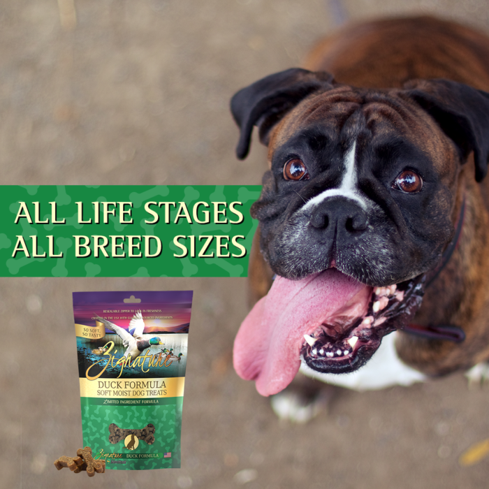 Zignature Grain Free Duck Formula Soft Moist Dog Treats