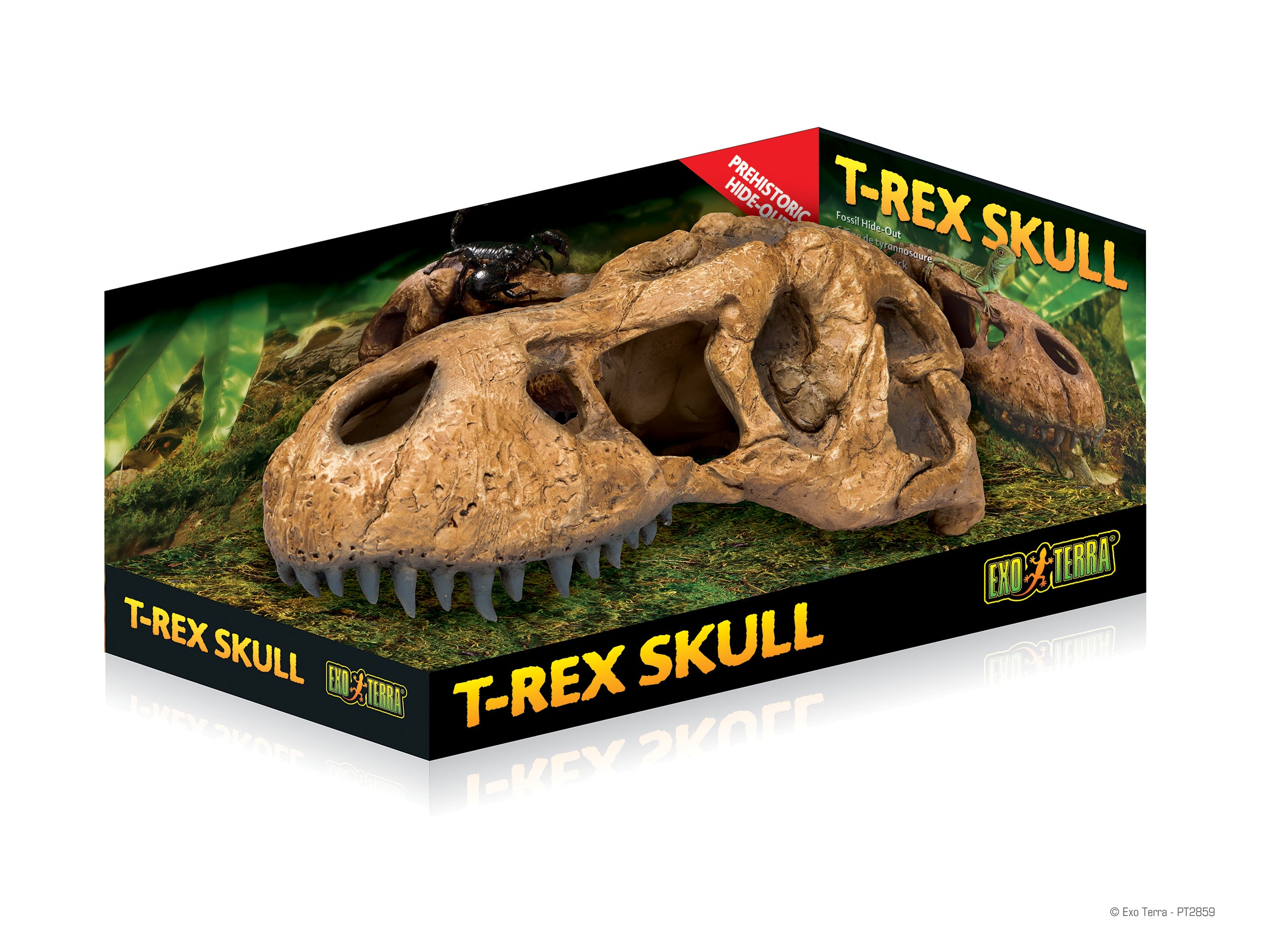 Exo Terra T-Rex Skull Decor