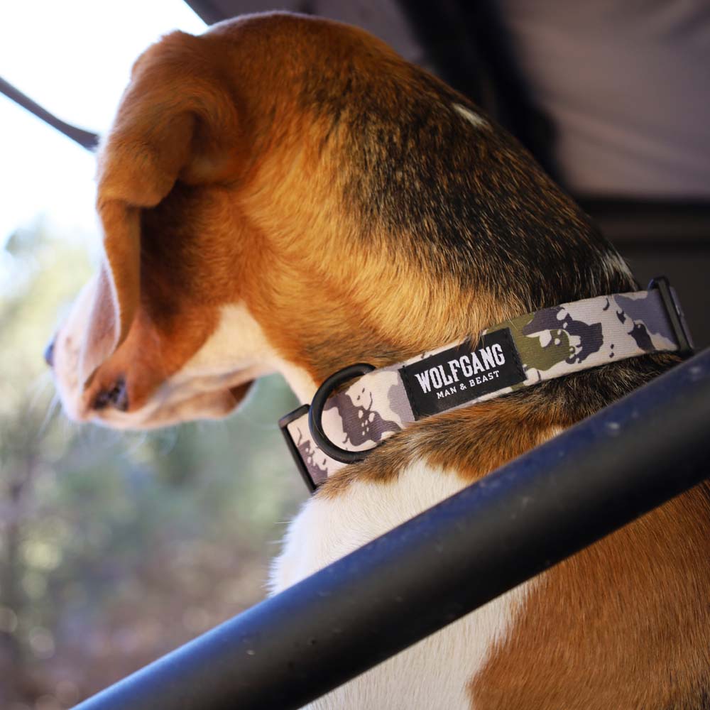 HideOut DOG COLLAR