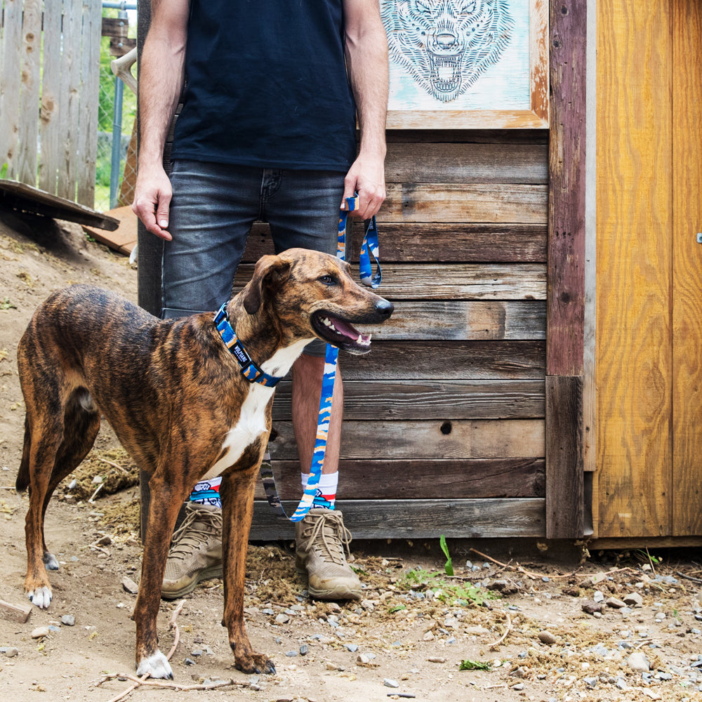 HexCamo Stream DOG LEASH