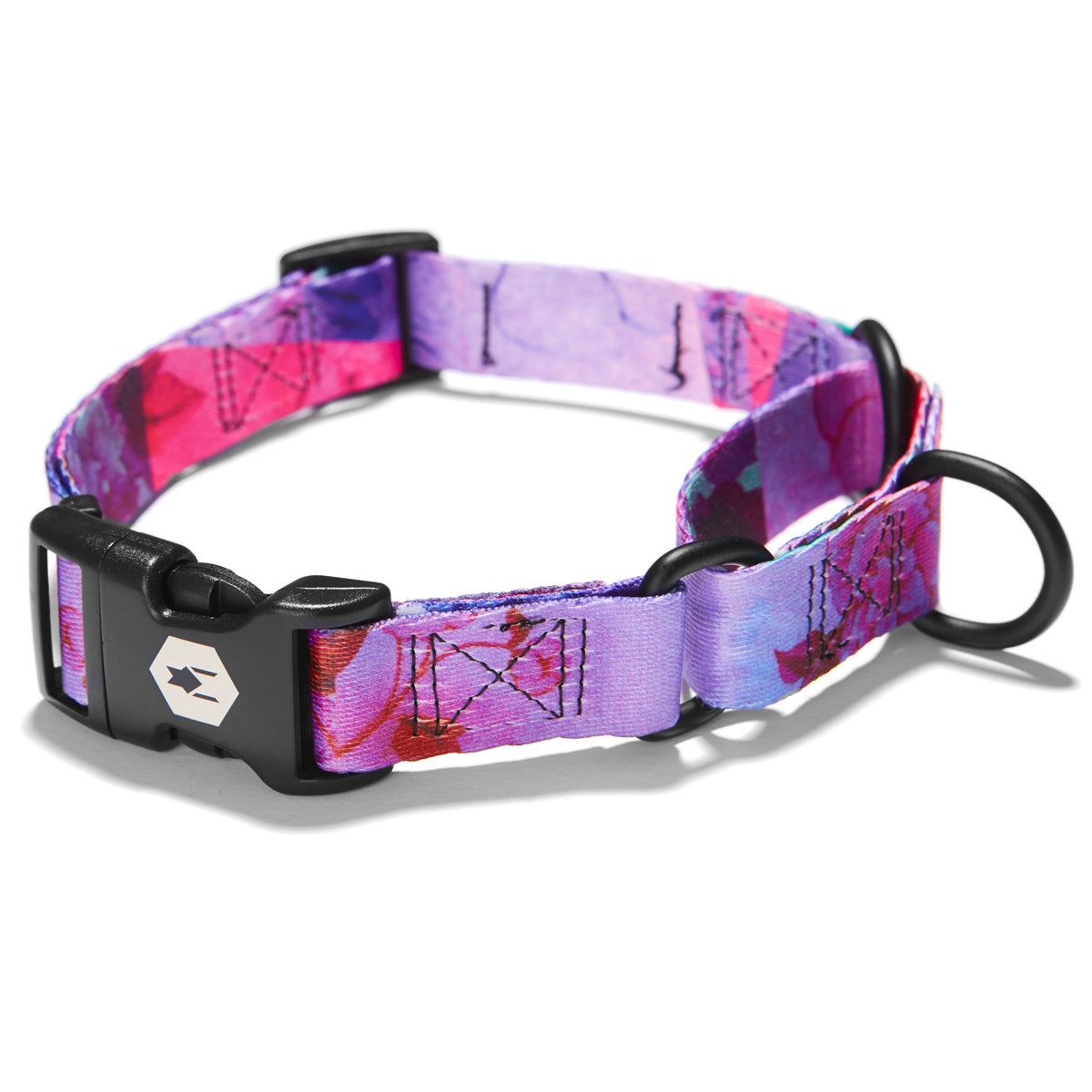 DayDream MARTINGALE DOG COLLAR