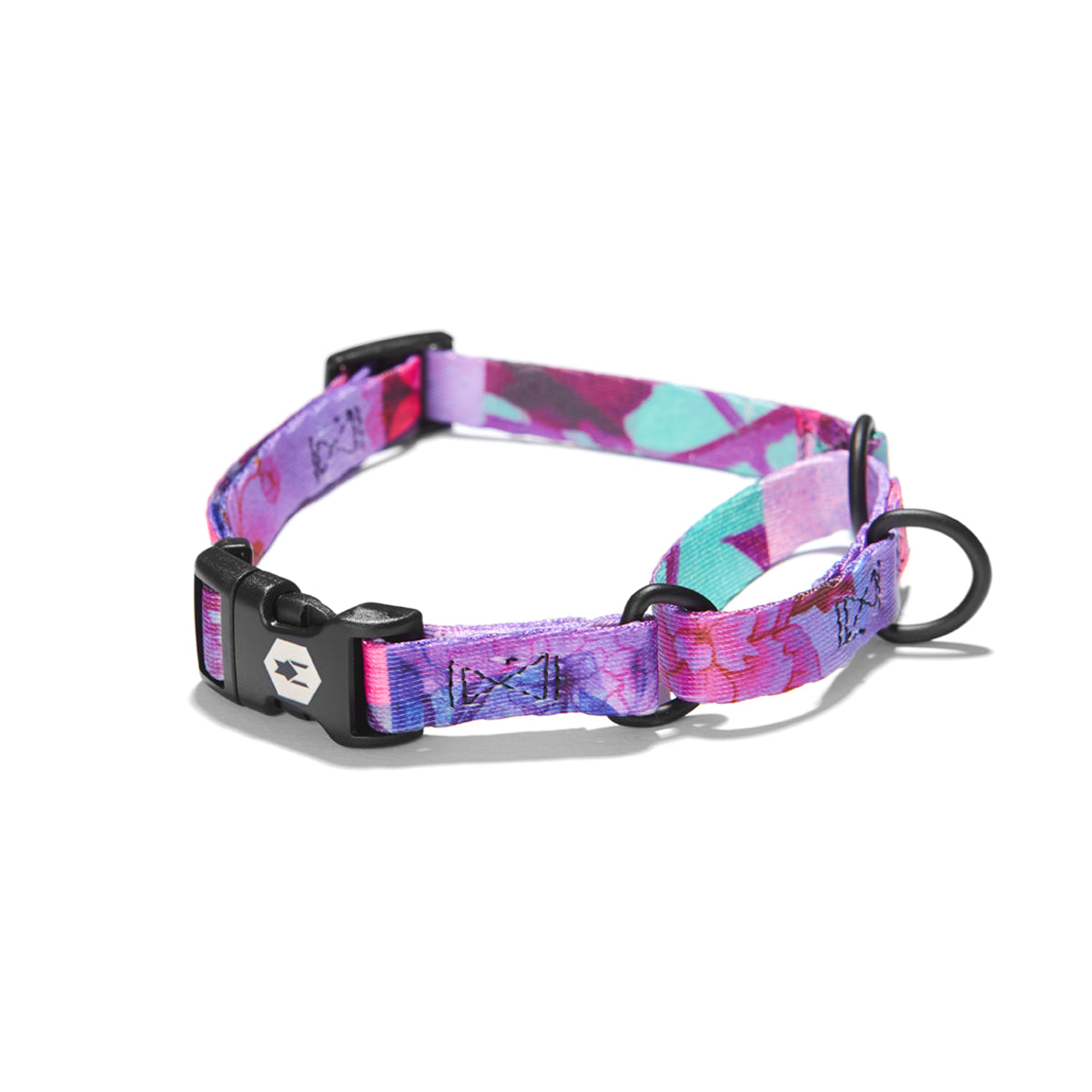 DayDream MARTINGALE DOG COLLAR