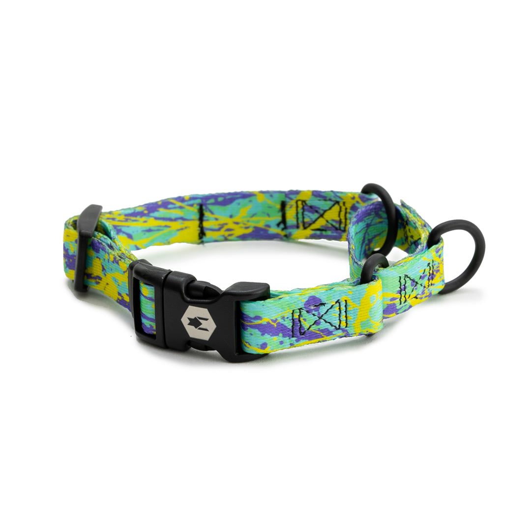 ModernCanvas MARTINGALE DOG COLLAR