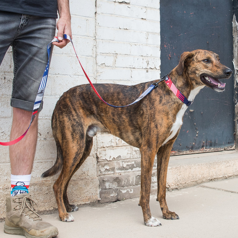 USNational DOG COLLAR