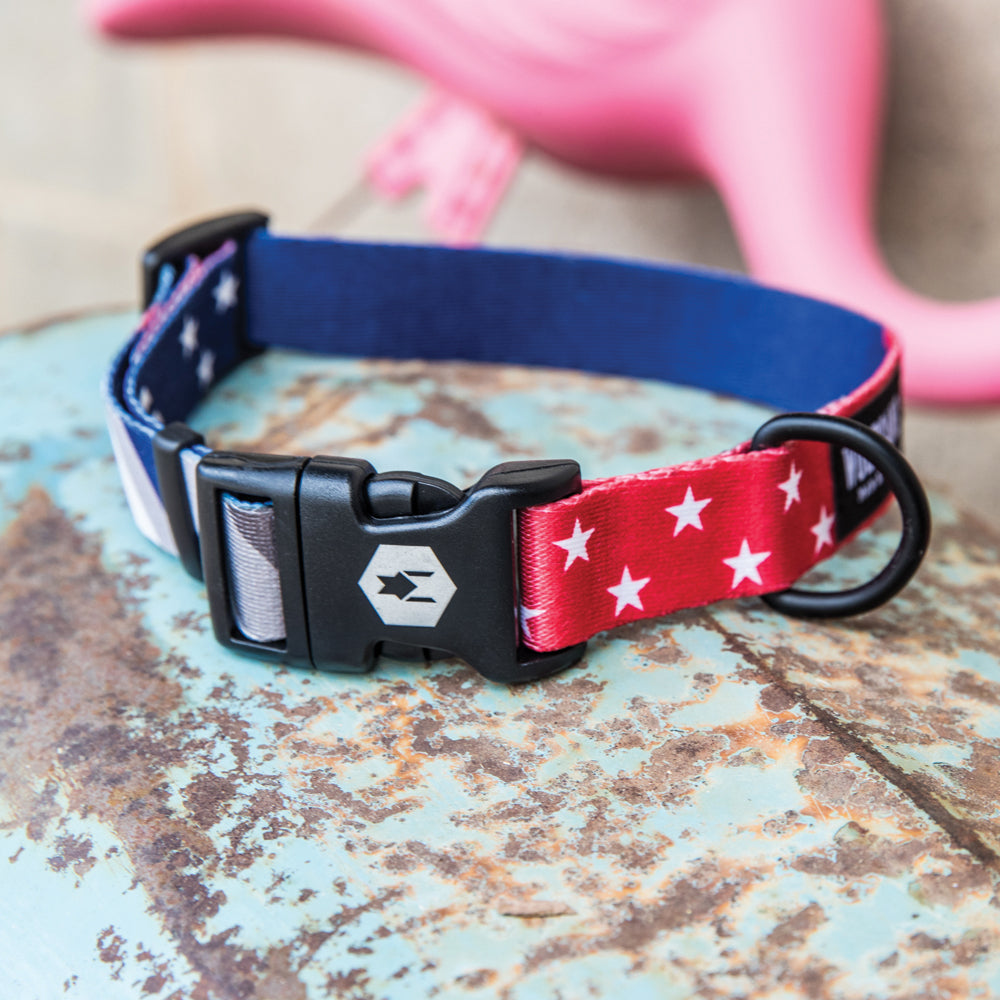 USNational DOG COLLAR