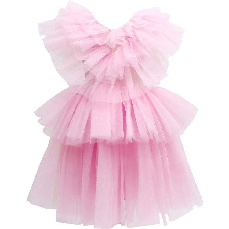 Claris Ruffled Tulle Dress (5-6)