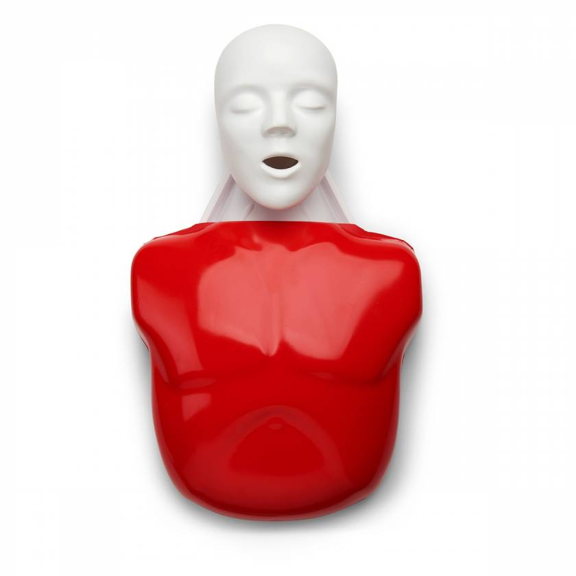 Nasco Basic Buddy CPR Manikin Convenience Pack